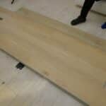 Morning Glory image 6