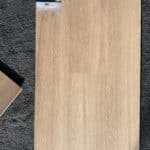 Morning Glory image 4