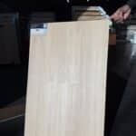 Morning Glory image 5