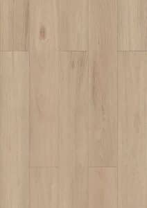 DEF105 – Morning Glory