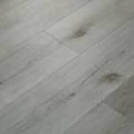 Moonlit Silver Oak image 8