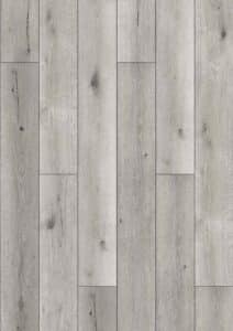 DNC 107 – Moonlit Silver Oak