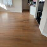 American Red Oak image 3