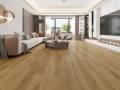DSFC101 Natural French Oak